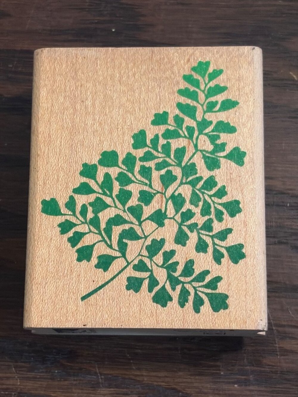 VTG Rubber Stampede Fern Leaf Wood-Mounted Rubber Stamp 3" x 2" Made In USA